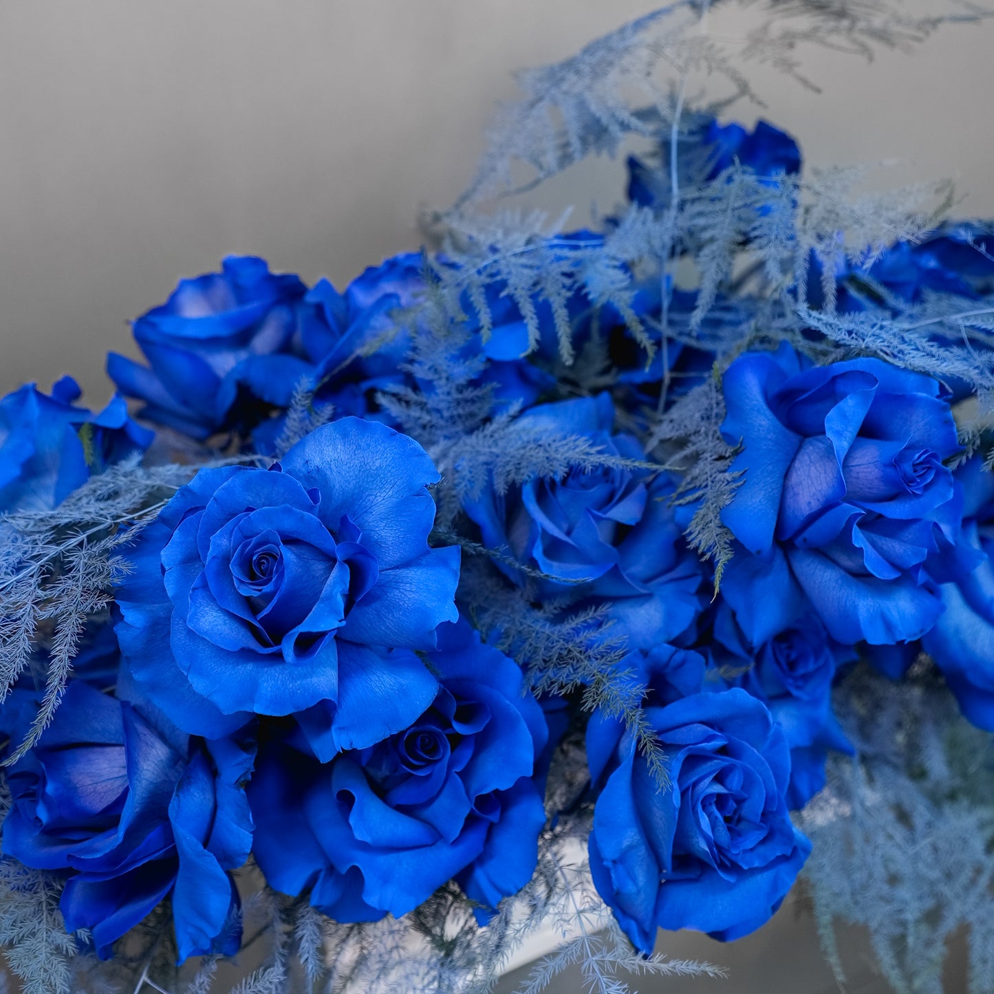 Lux Collection - Blue Clouds