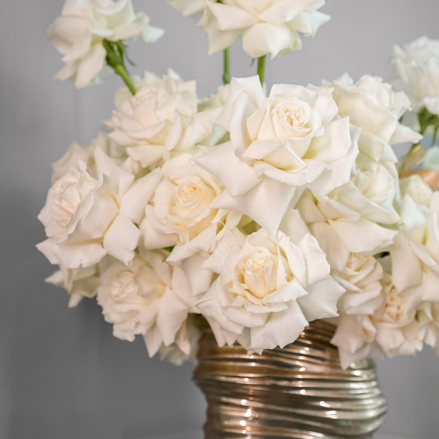 Lux Collection - White Stunner