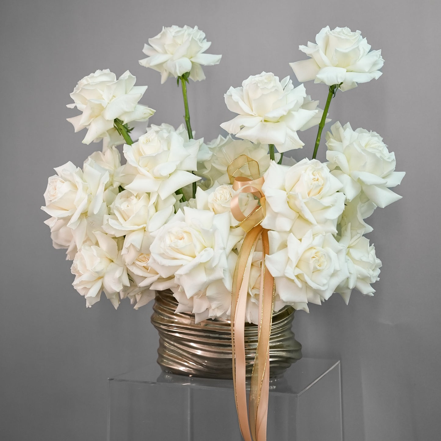 Lux Collection - White Stunner