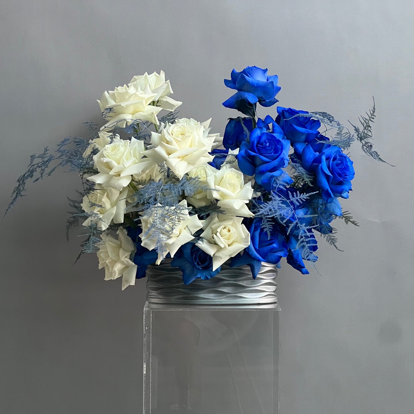 Lux Collection - White N' Blue