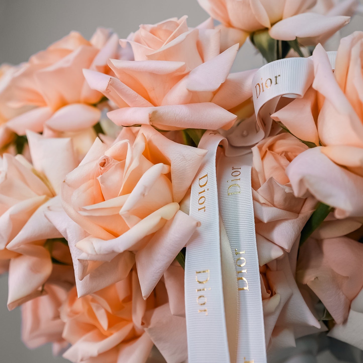 Lux Collection - Peach Roses